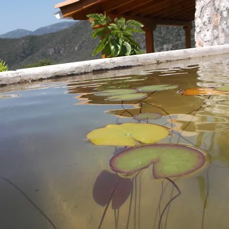 Kır Evi Stone *