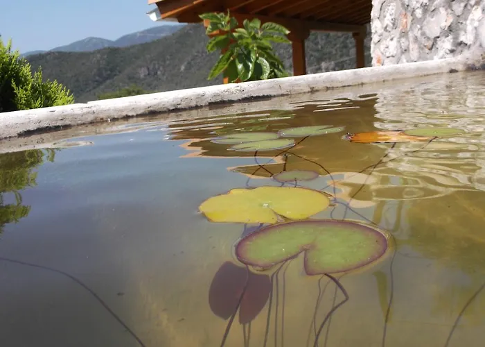 Country house Stone *