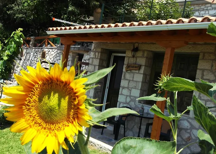 Gospodarstwo wiejskie Stone