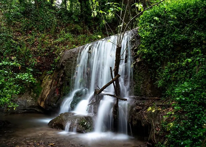 Country house Stone *
